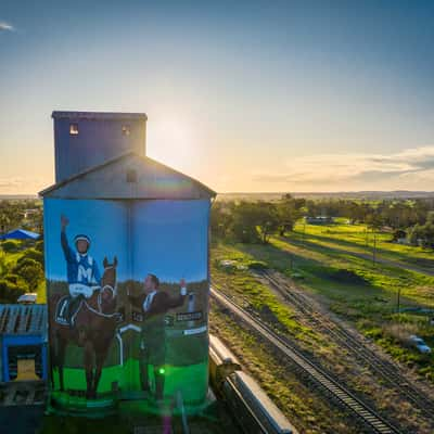 Winx Silo art Dunedoo, New South Wales, Australia