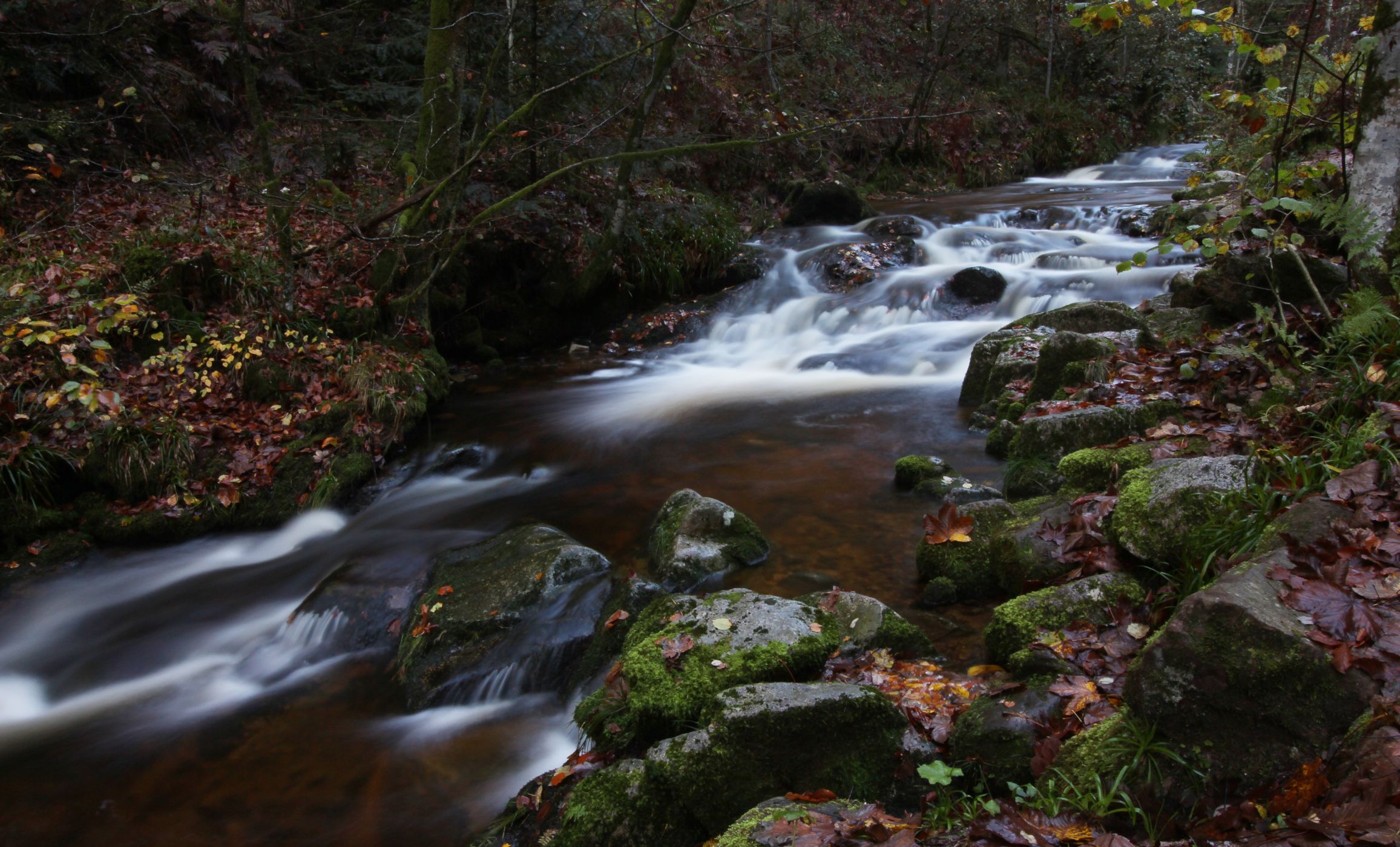 Allerheiligen Waterfall, Germany