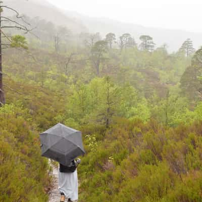 Beinn Eighe Nature Preserve Trail, United Kingdom