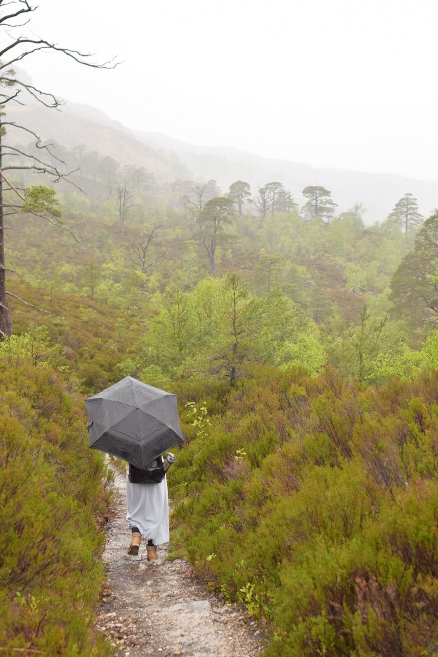 Beinn Eighe Nature Preserve Trail, United Kingdom