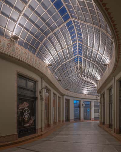 Black Eagle Palace, Oradea