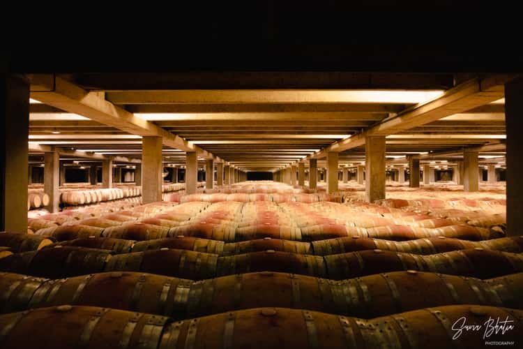 Bodega Campo Viejo