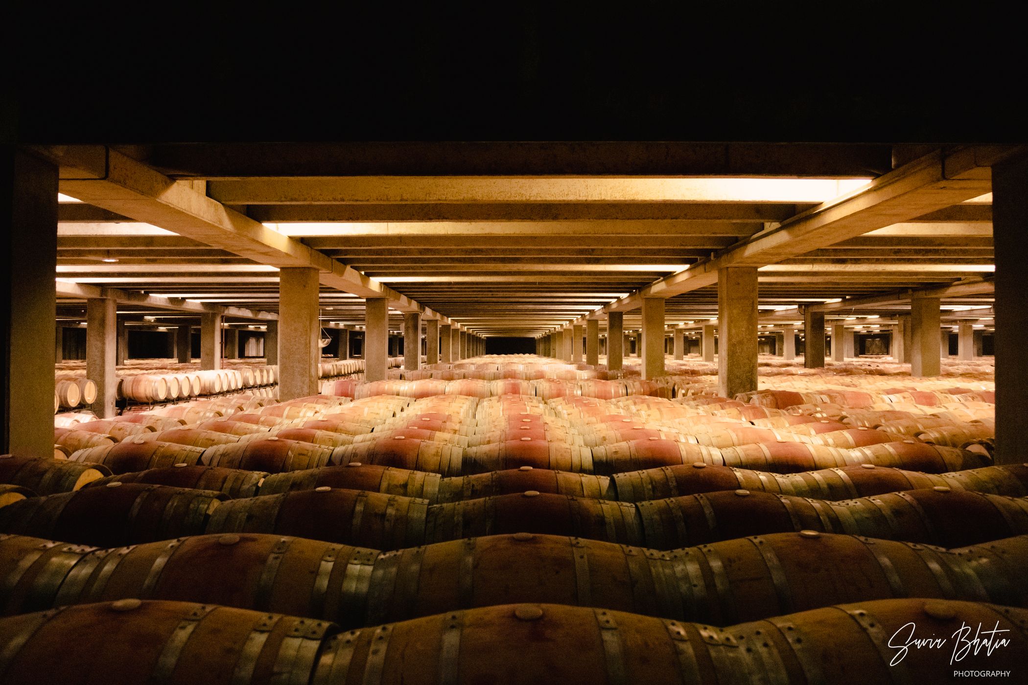 Bodega Campo Viejo, Spain