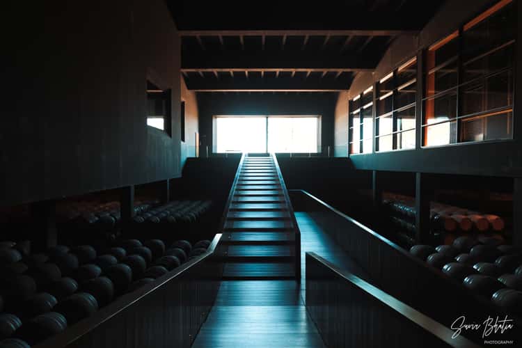 Bodega Campo Viejo