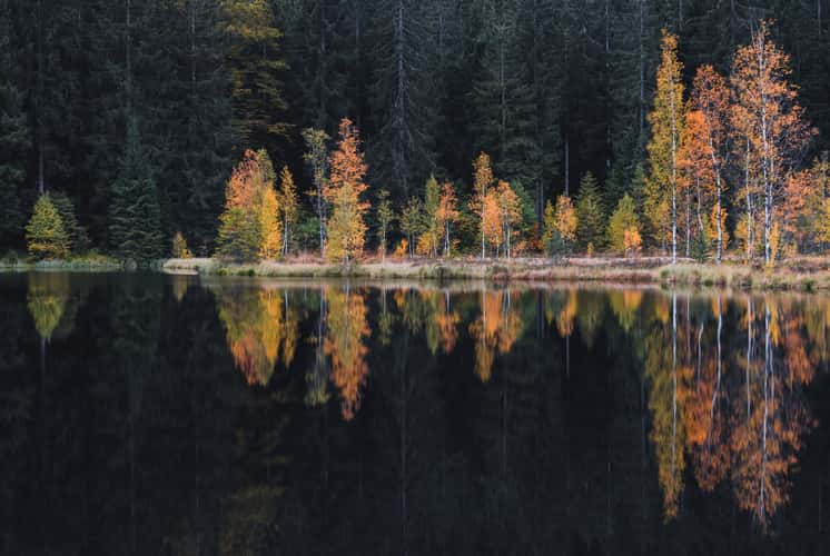 Buhlbachsee, Black Forrest