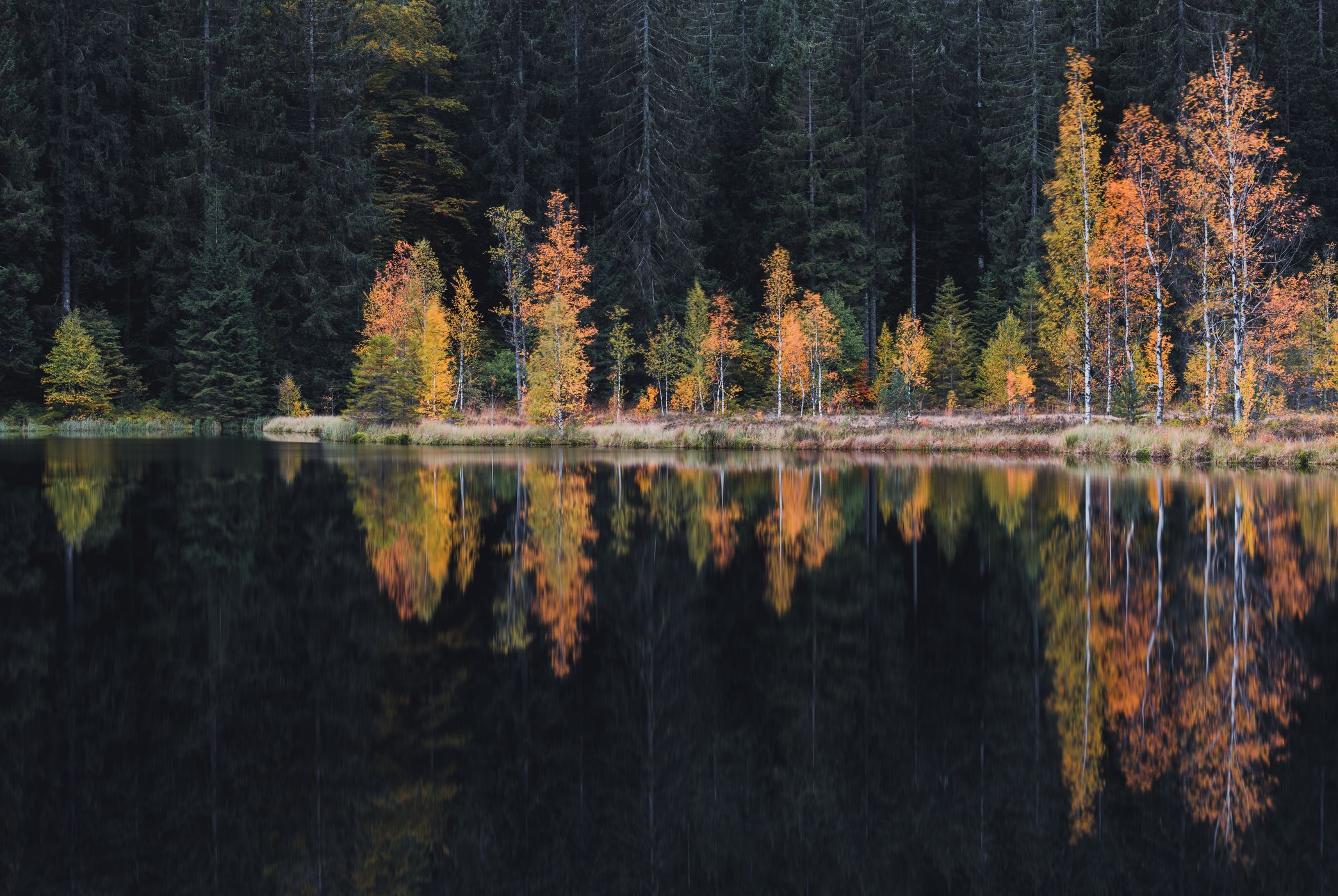 Buhlbachsee, Black Forrest, Germany