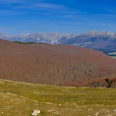 Cansiglio view from Mt. Pizzoc, Italy