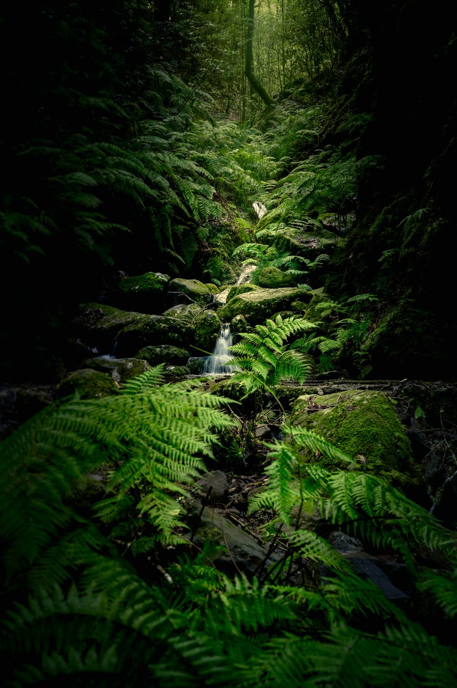 Cascata do Levada dos Cedros, Portugal