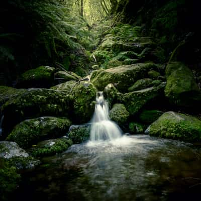 Cascata do Levada dos Cedros, Portugal