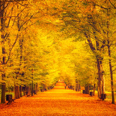 Castle Park in Pszczyna, Poland, Poland