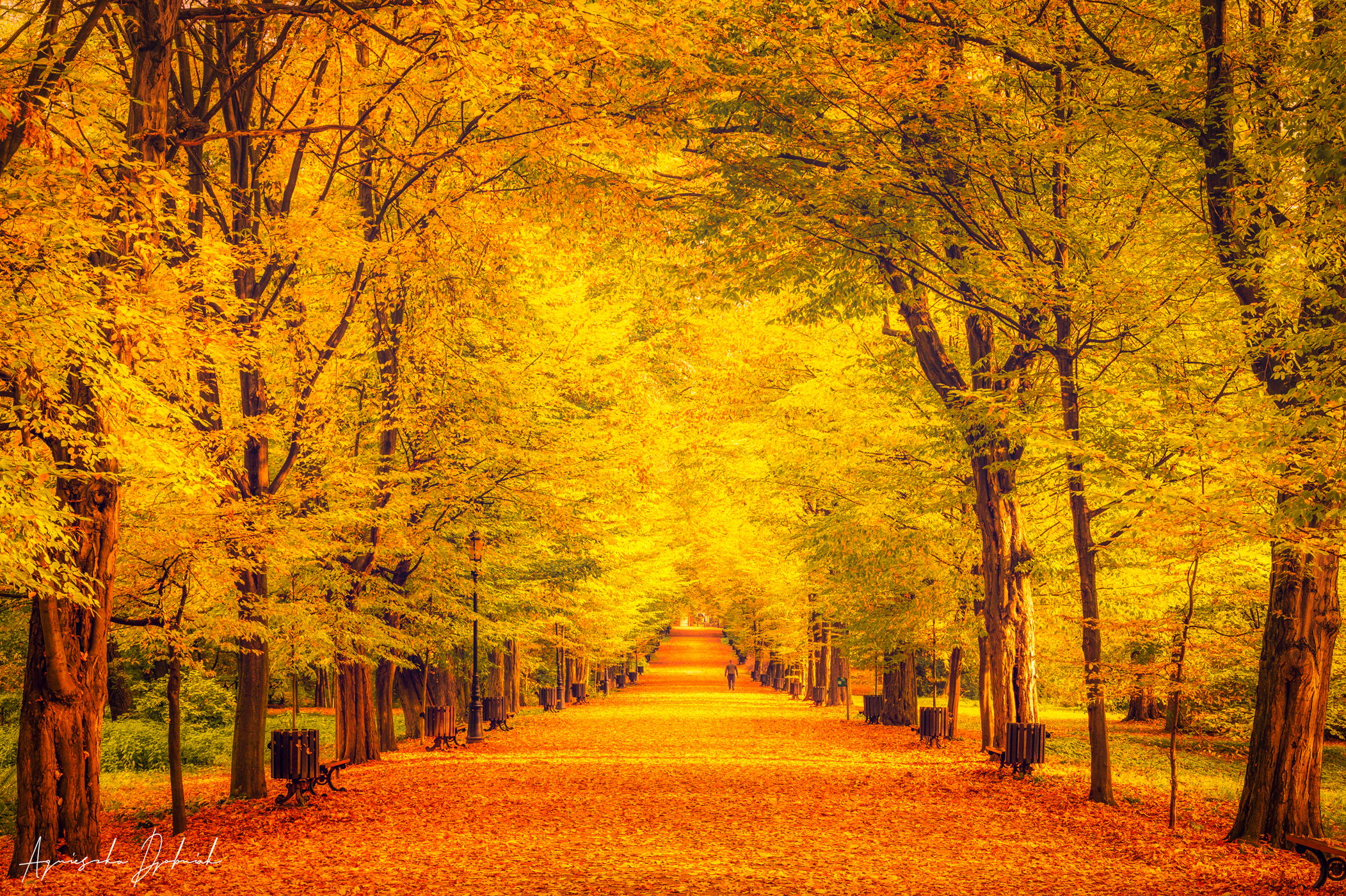 Castle Park in Pszczyna, Poland, Poland