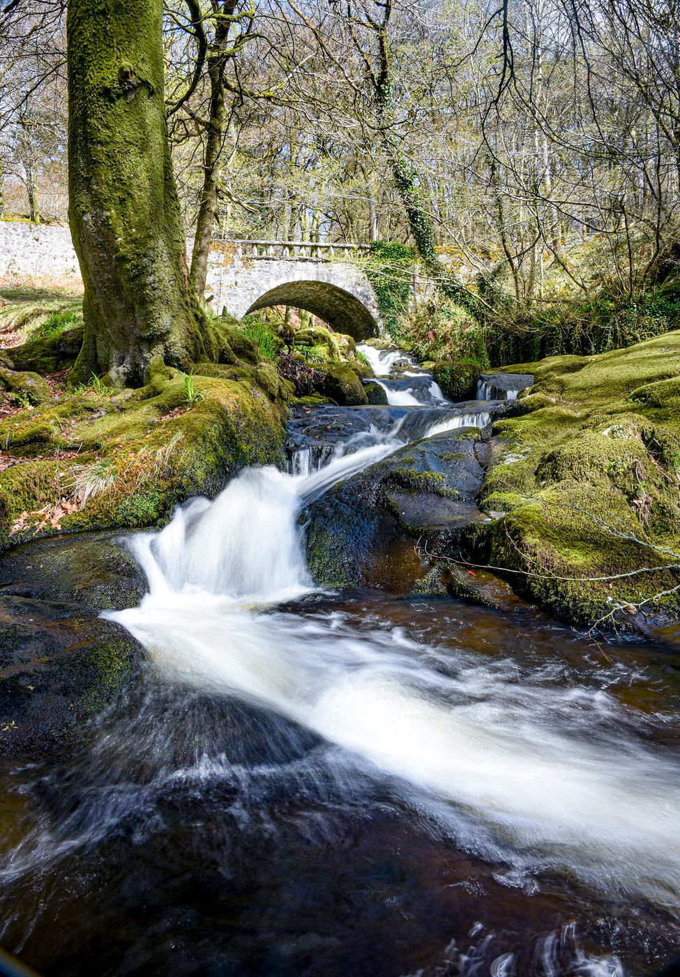 Clough lea bridge, Ireland