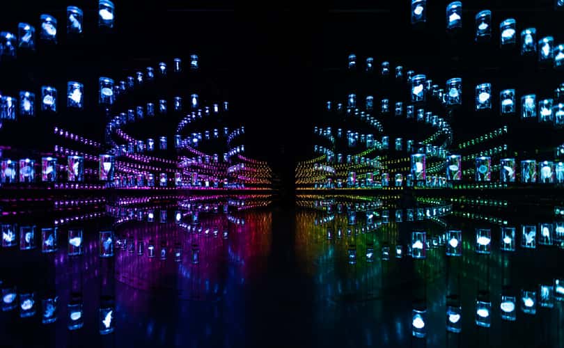 Dubai Museum of the Future