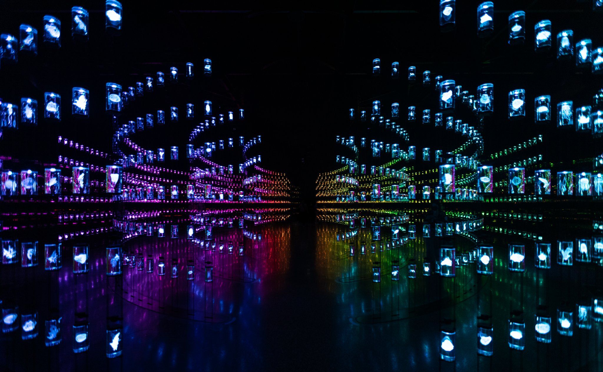 Dubai Museum of the Future, United Arab Emirates