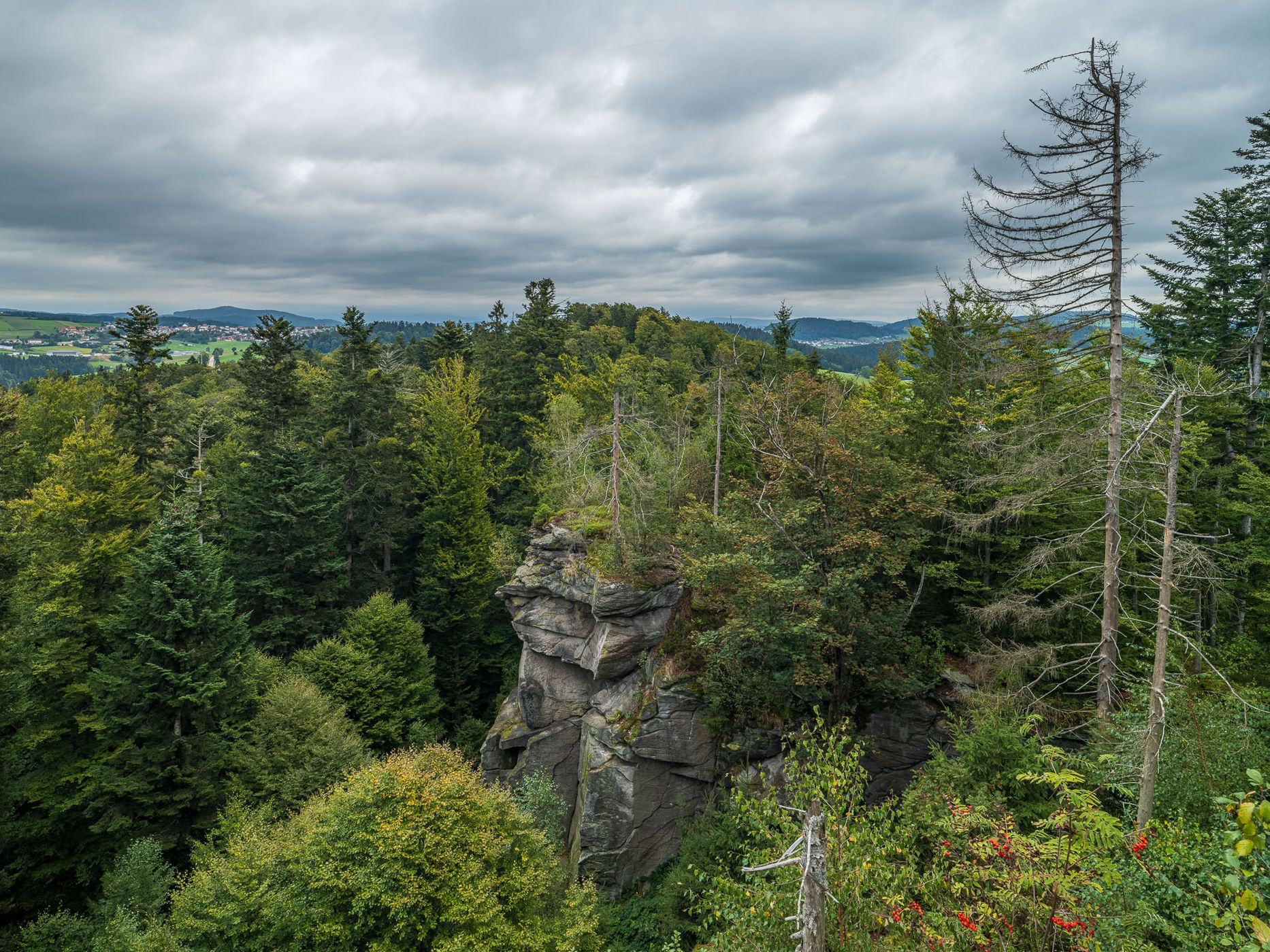 Eidenberger Lusen, Germany