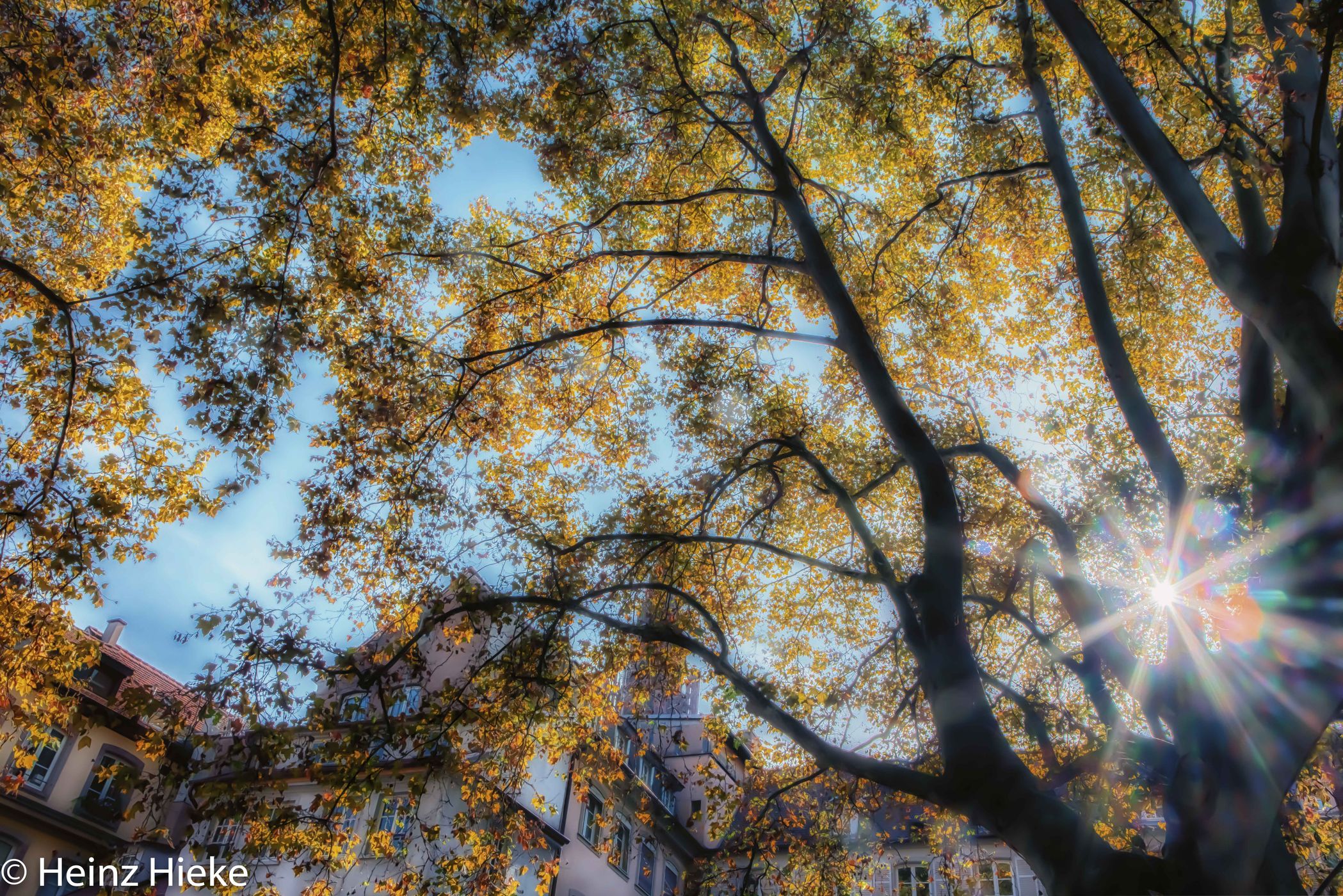 Herbstbäume, France