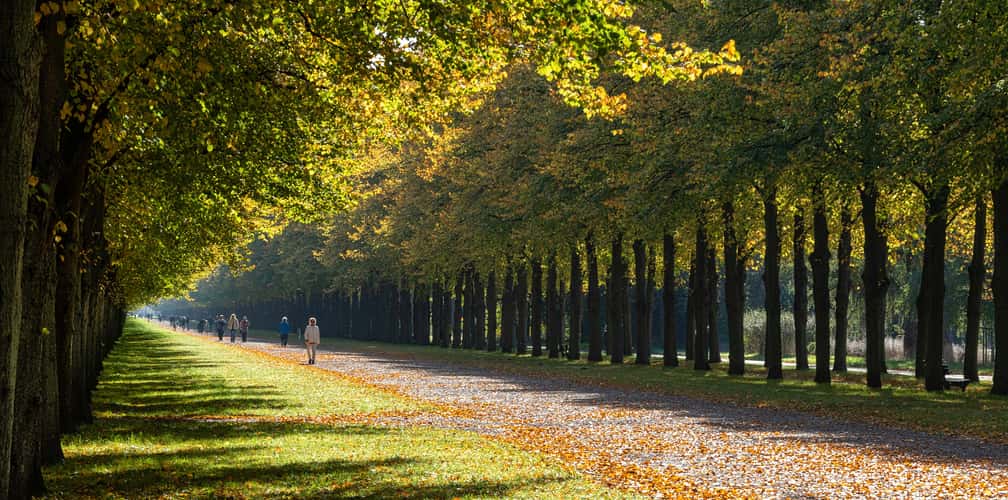 Herrenhäuser Allee