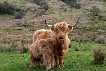 coos Top Spots for this Photo Theme