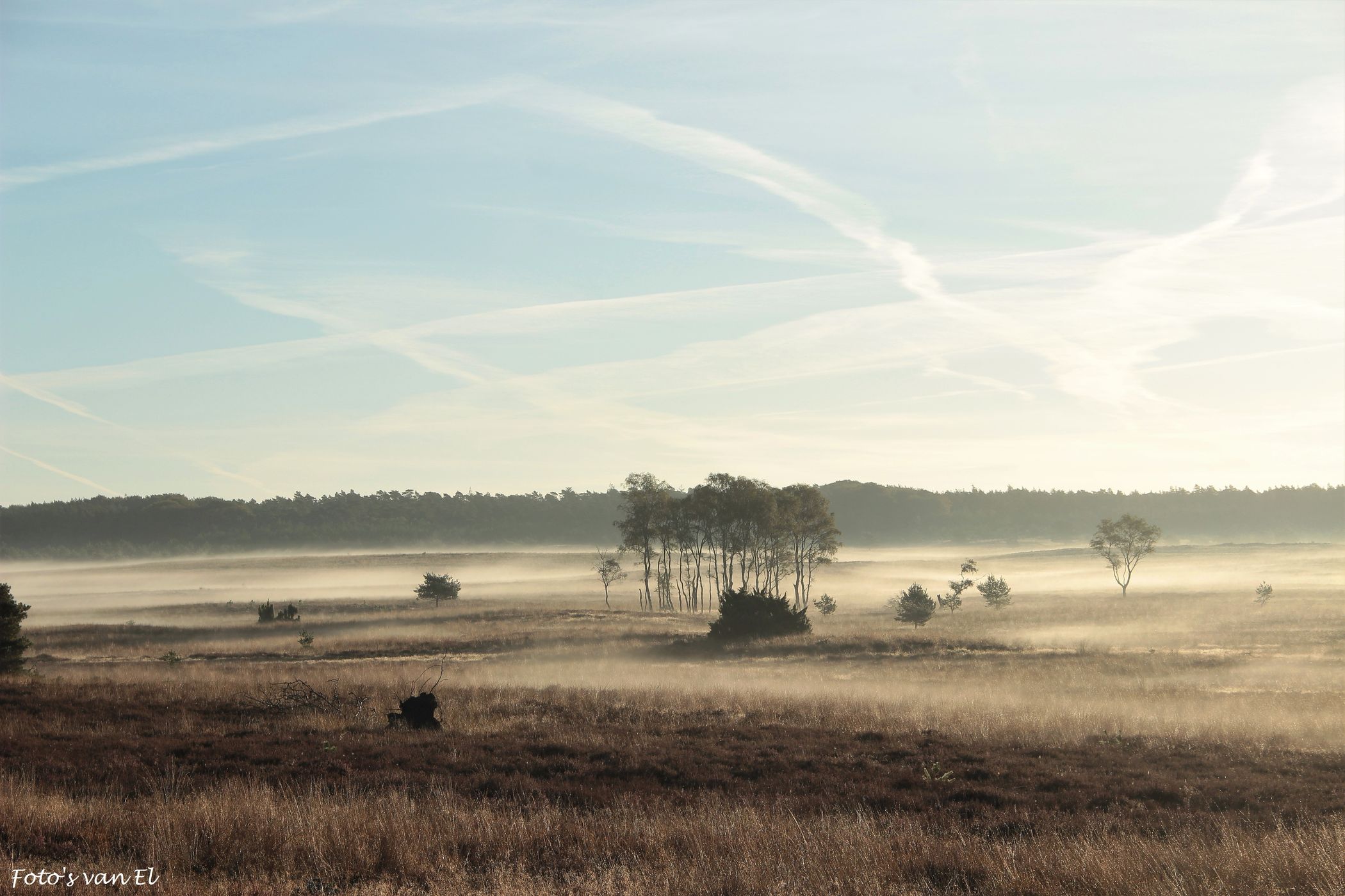Hoog Buurlose Heide, Netherlands
