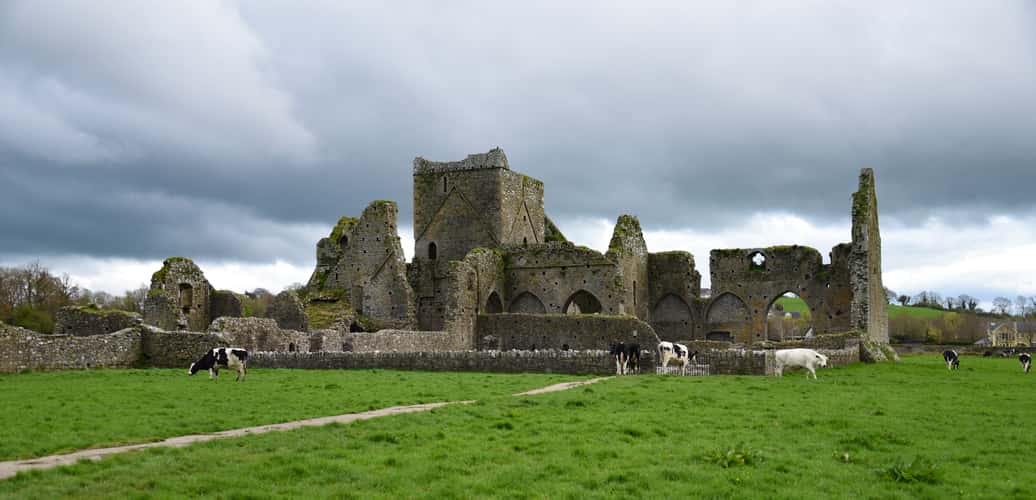 Hore Abbey