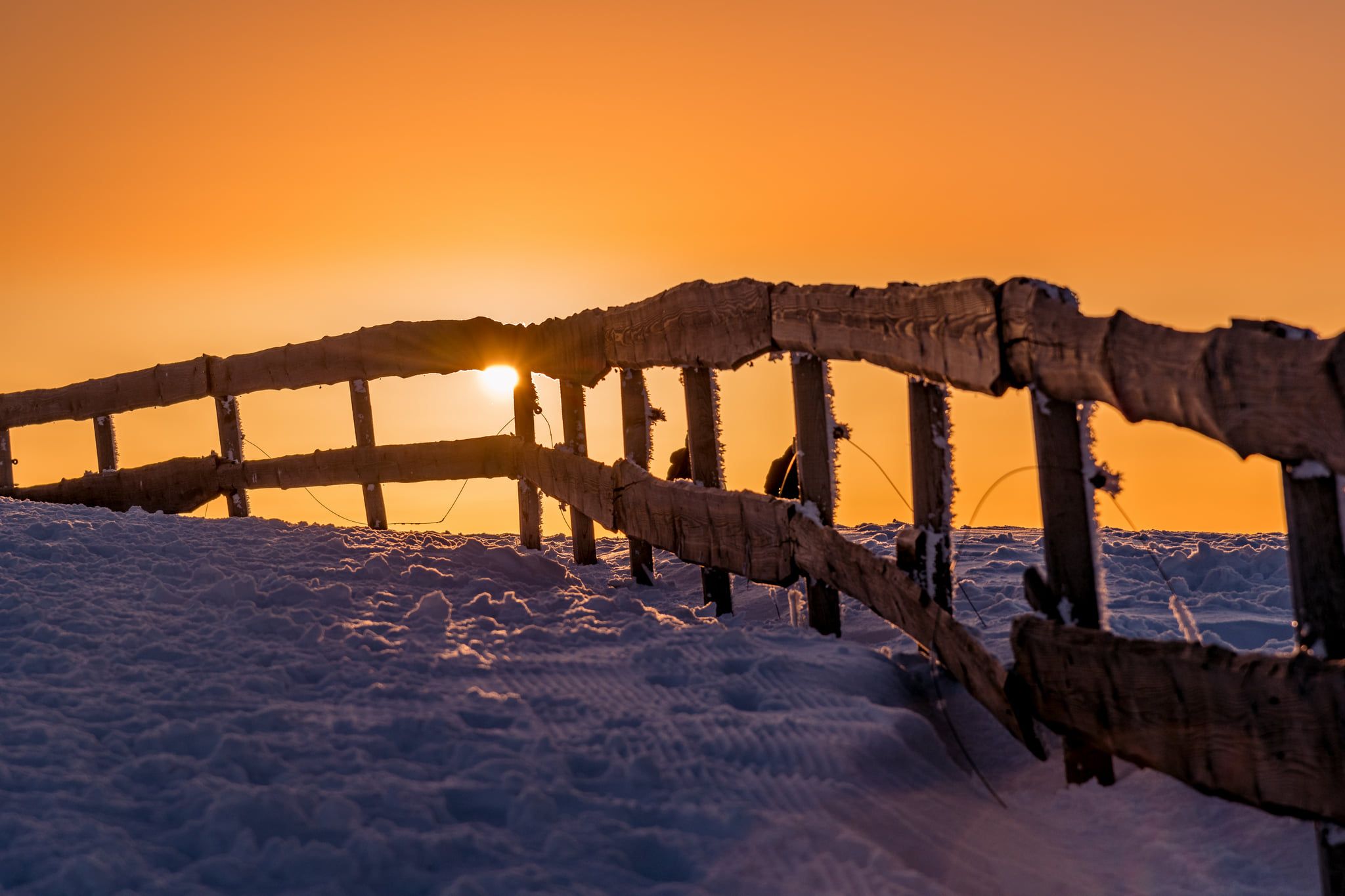 Kandel Winter, Germany