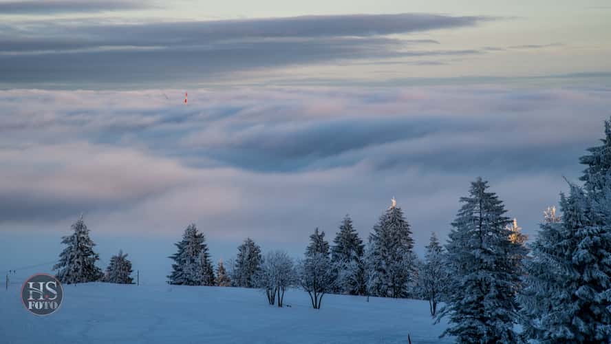 Kandel Winter