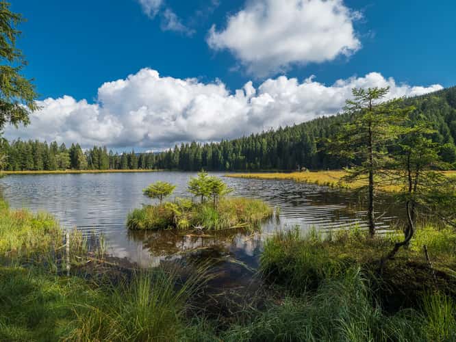 Kleiner Arbersee, Bavarian Forest