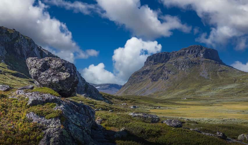 Lauvdalsbrea