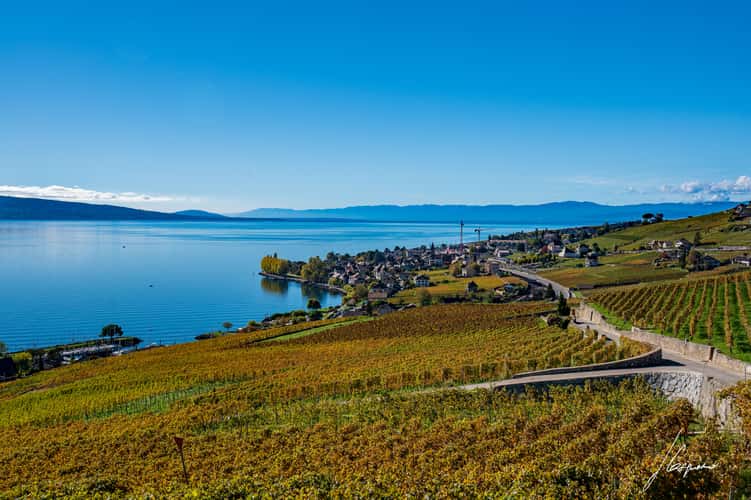 Lavaux-Epesses