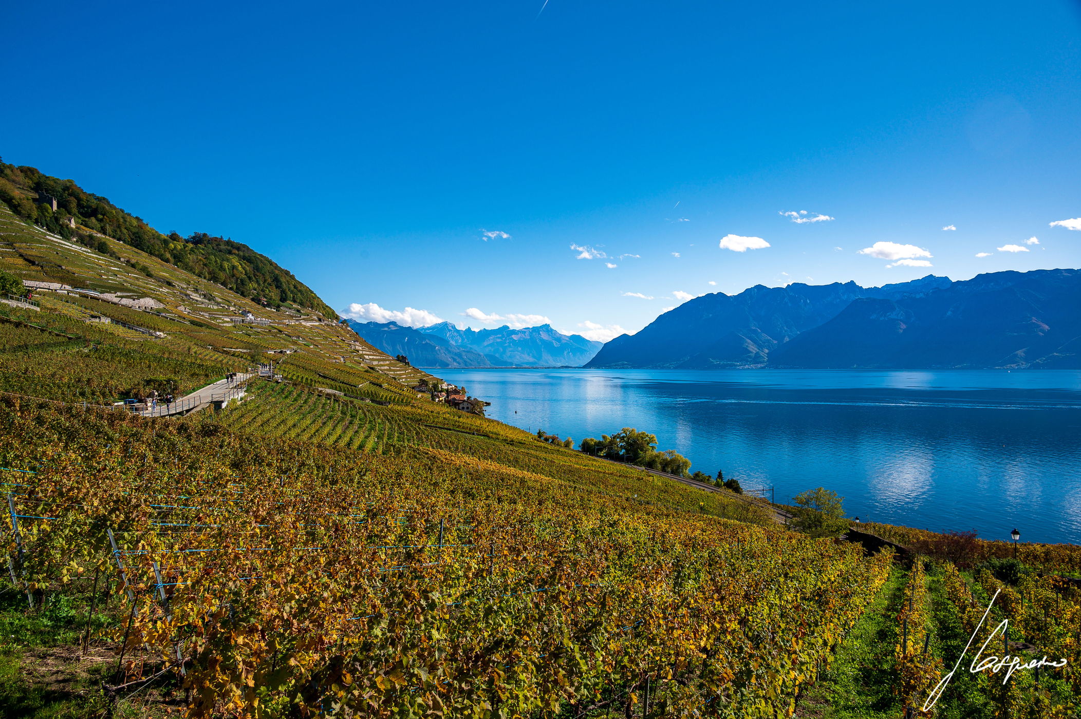 Lavaux-Epesses, Switzerland