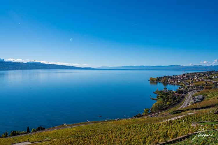 Lavaux-Epesses
