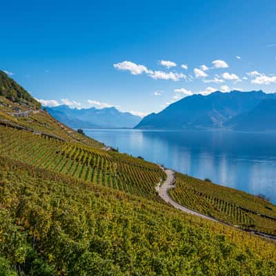 Lavaux-Epesses, Switzerland