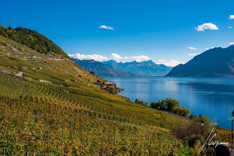 Lavaux-Epesses