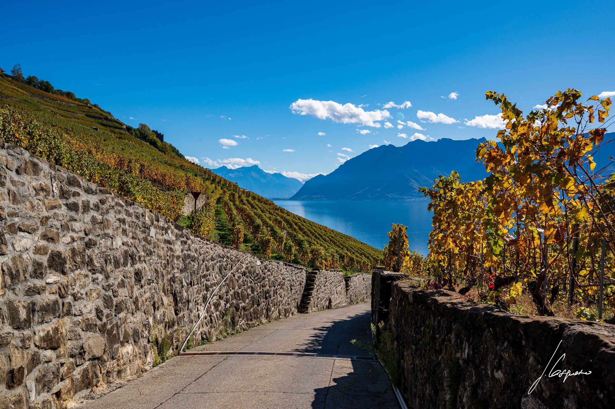 Lavaux-Epesses, Switzerland