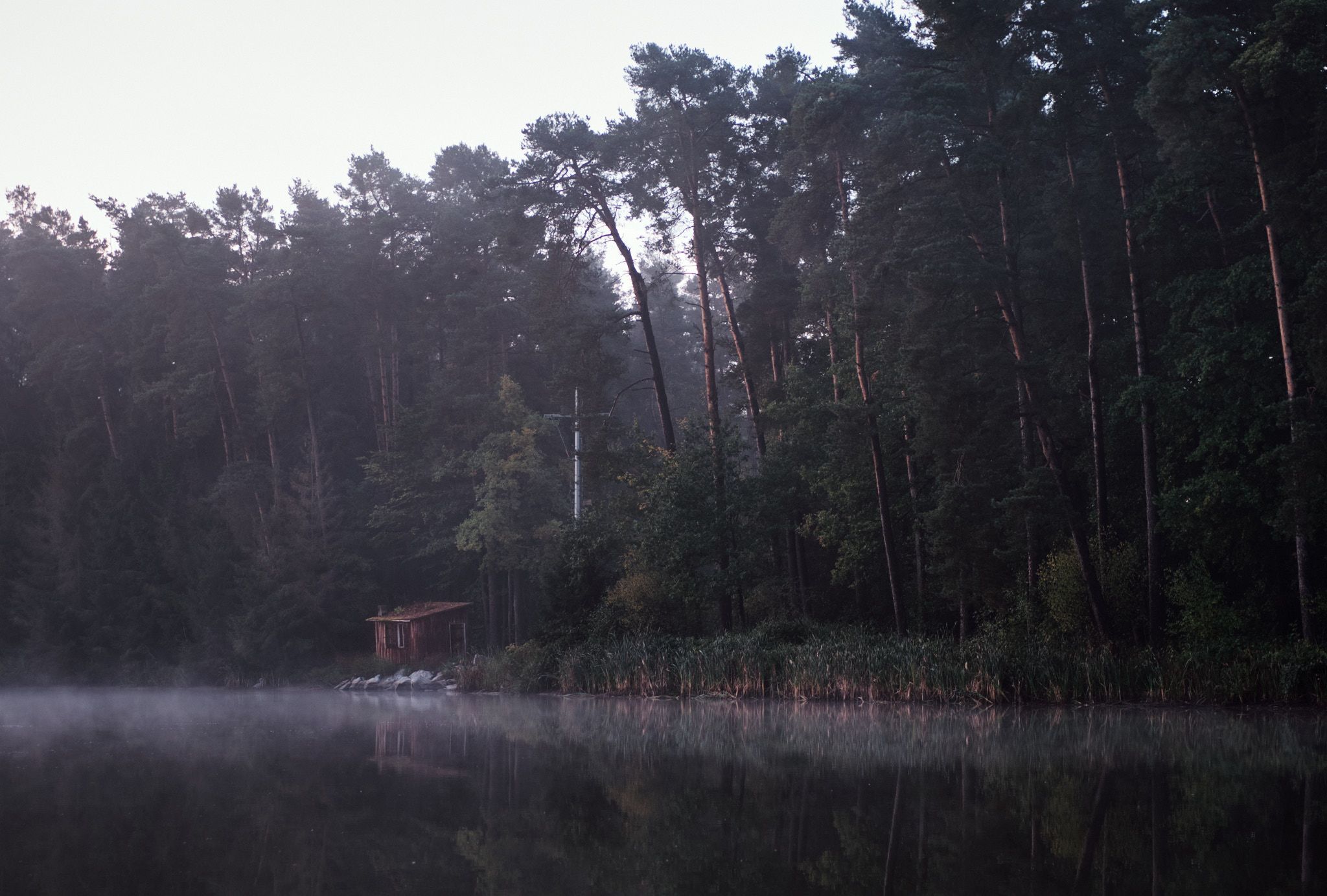 Lohenweiher, Germany