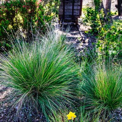 Memorial garden, Kandos, New South Wales, Australia