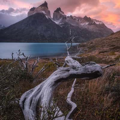 Mirador Los Cuernos, Torres del Paine, Chile