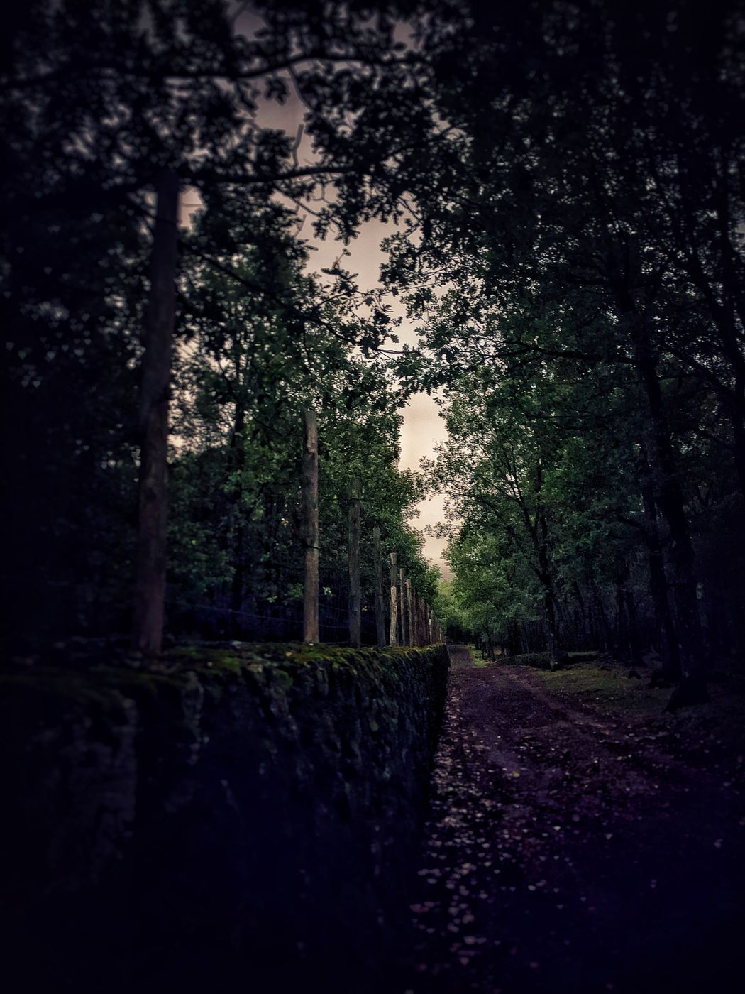 monte nave , maletto, Italy