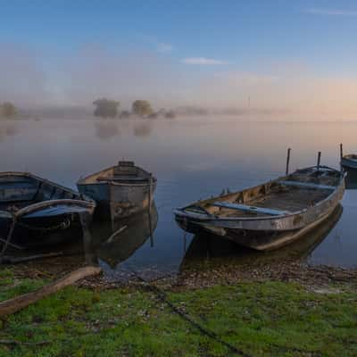 Maneswaard - Opheusden, Netherlands