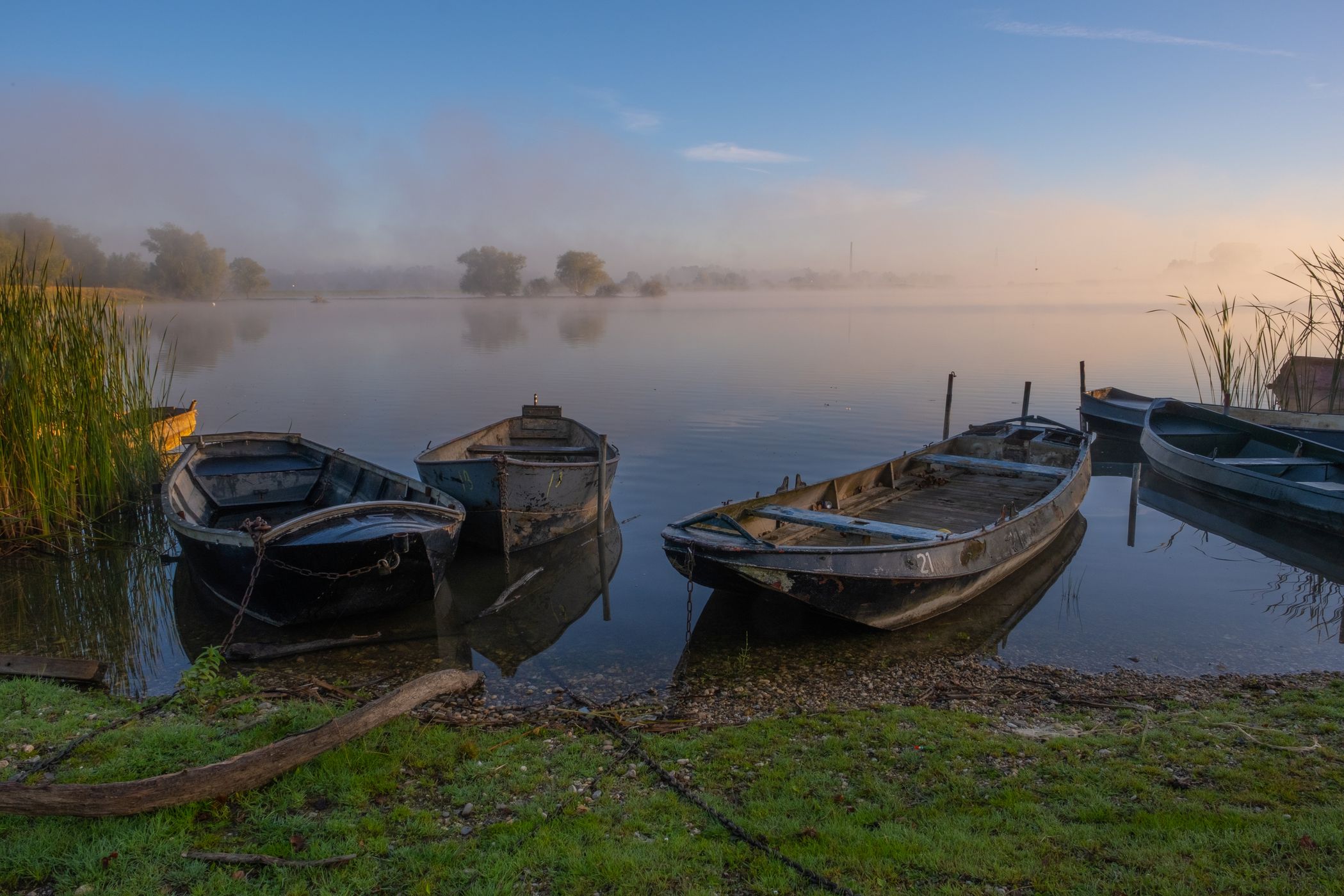 Maneswaard - Opheusden, Netherlands