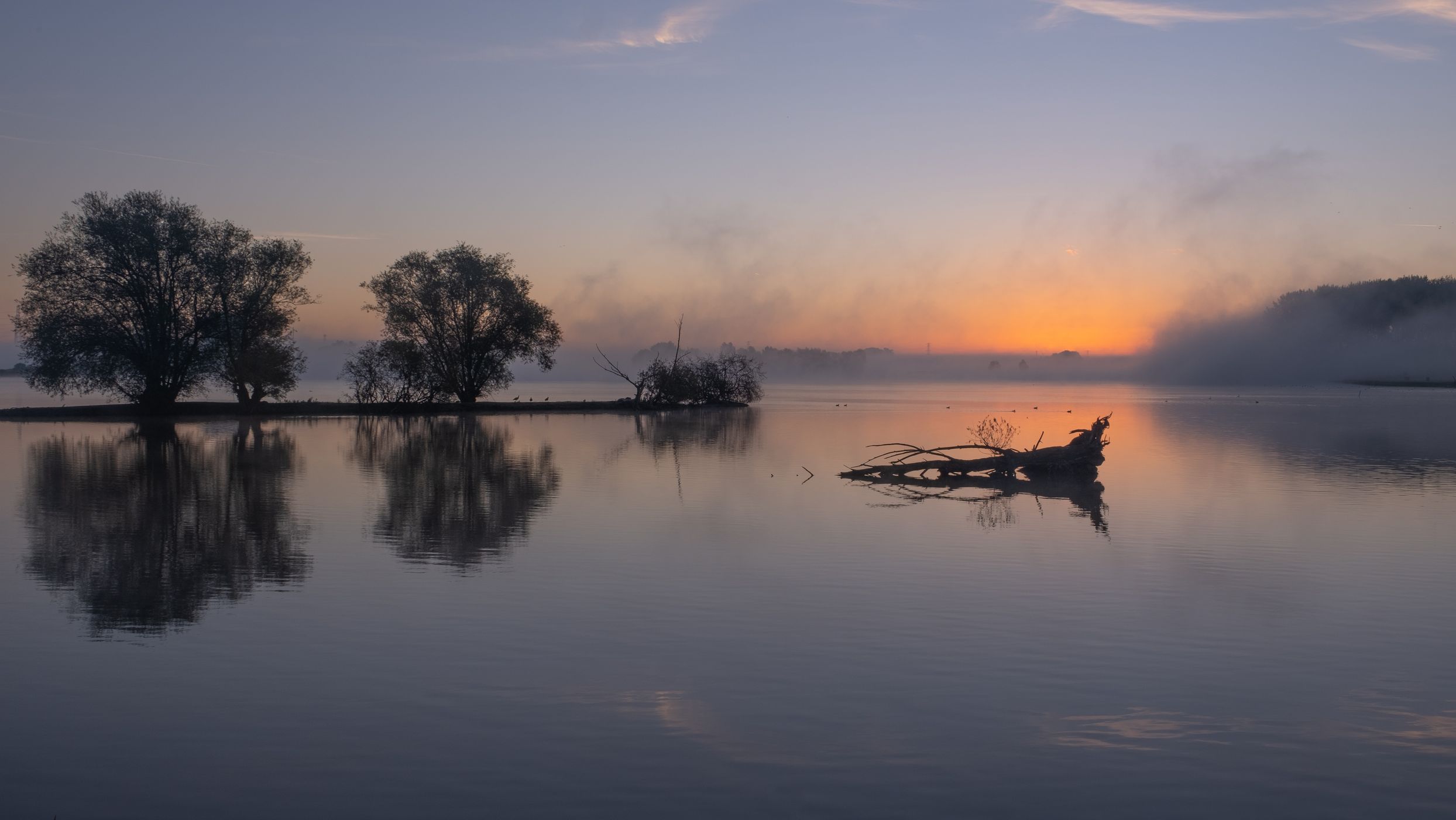 Maneswaard - Opheusden, Netherlands