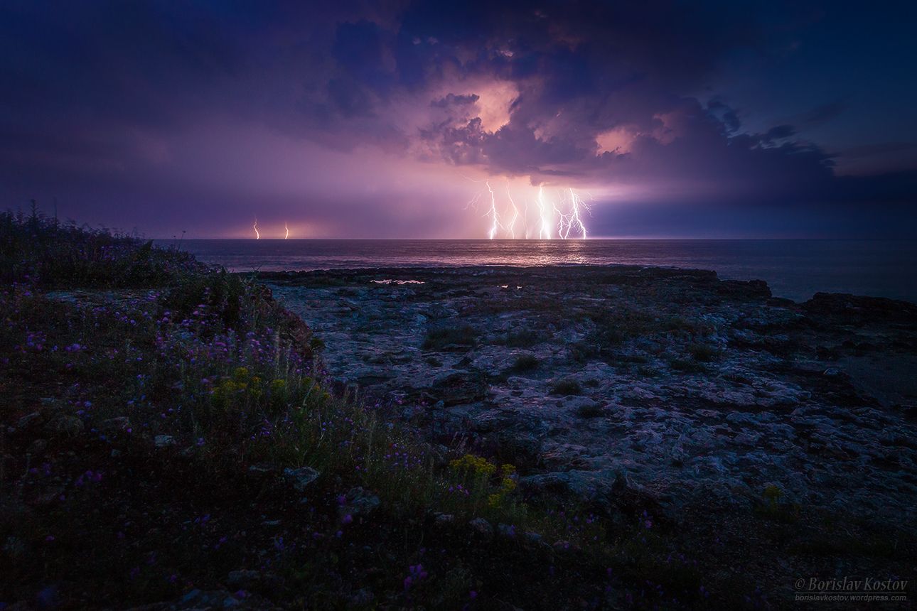 North of Tyulenovo, Bulgaria