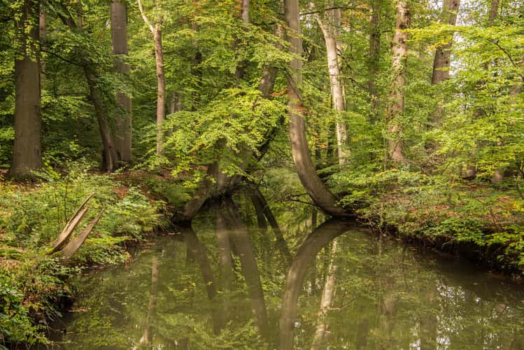 Oelerbeek Delden