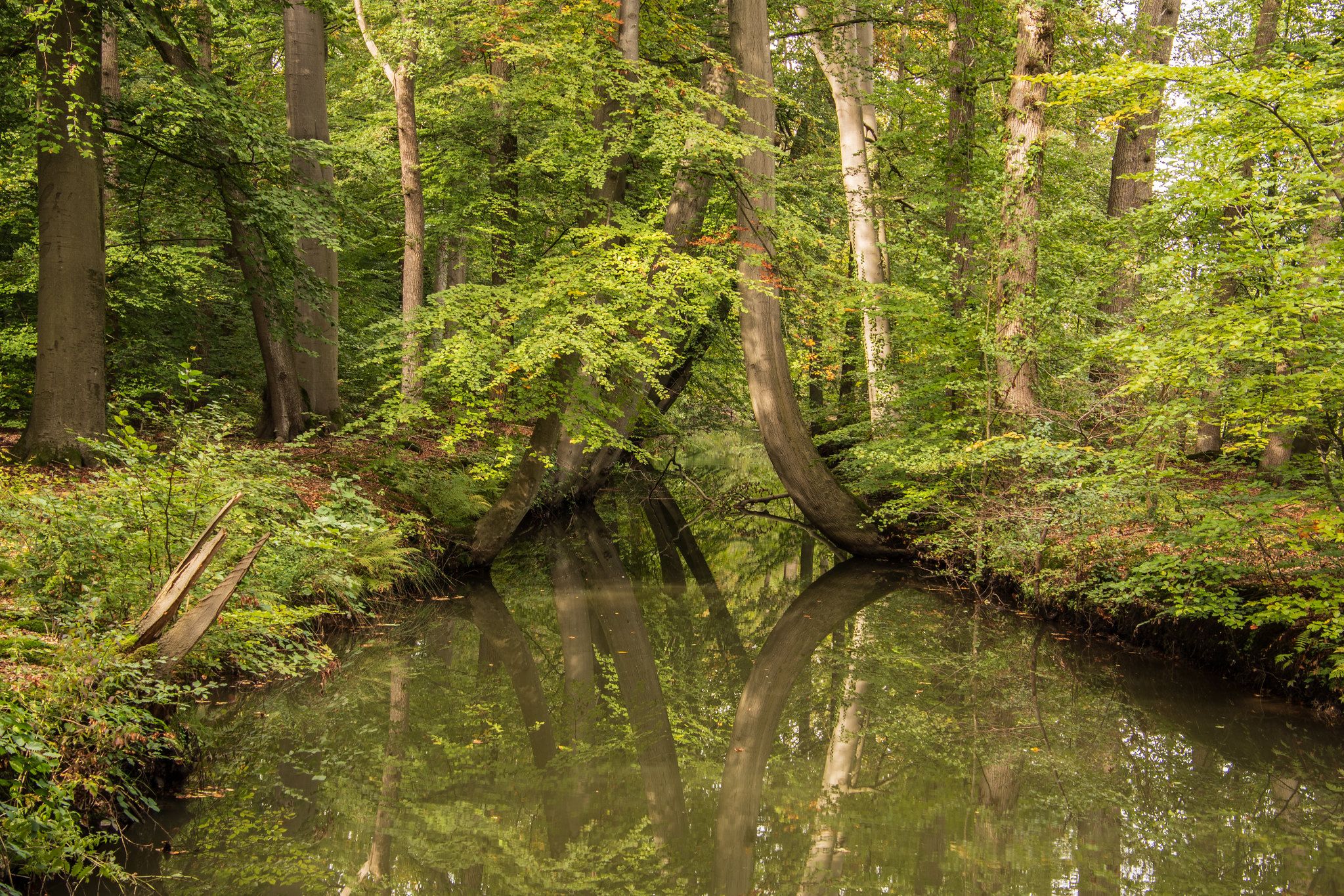 Oelerbeek Delden, Netherlands