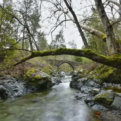 Olive Tree Bridge, Cyprus