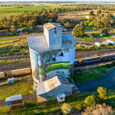 Painted Silo, Dunedoo, New South Wales, Australia