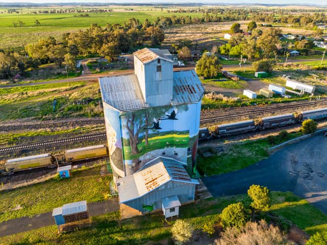 Painted Silo, Dunedoo, New South Wales