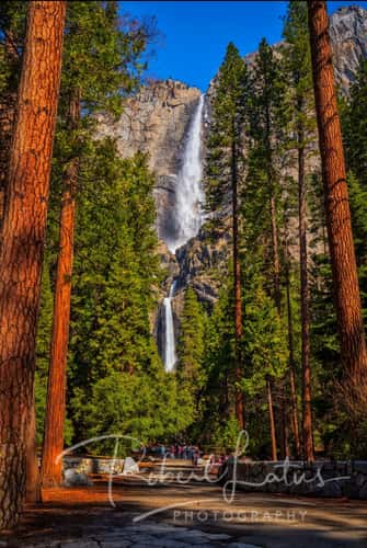 Path to Lower Yosemite Fall