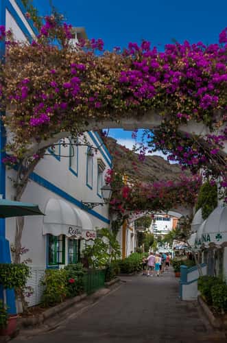 Porto Mogan