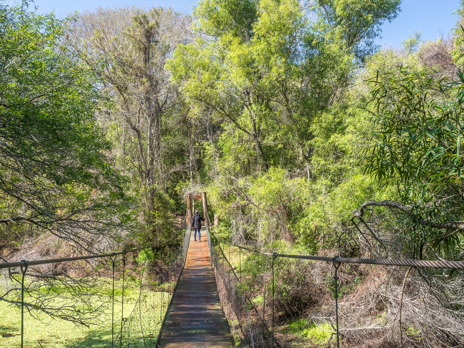 Rio Negro Hiking Trail, Chaco National Park, Argentina